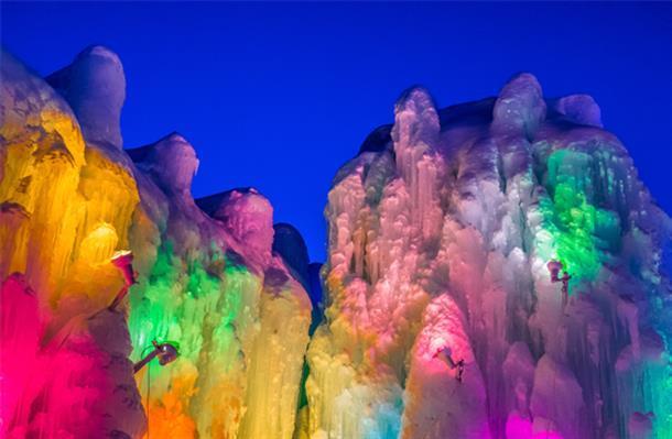 観光バス(期間限定ツアー)