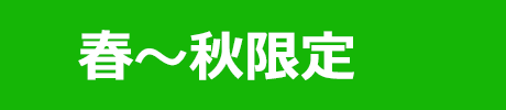 補足画像(文言)