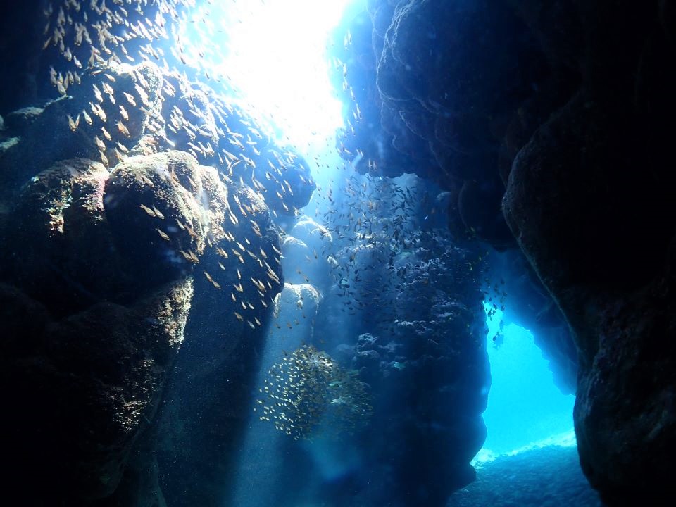 ダイビングではまた違った世界が見えてくる