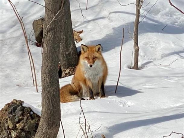 お待ちしております。