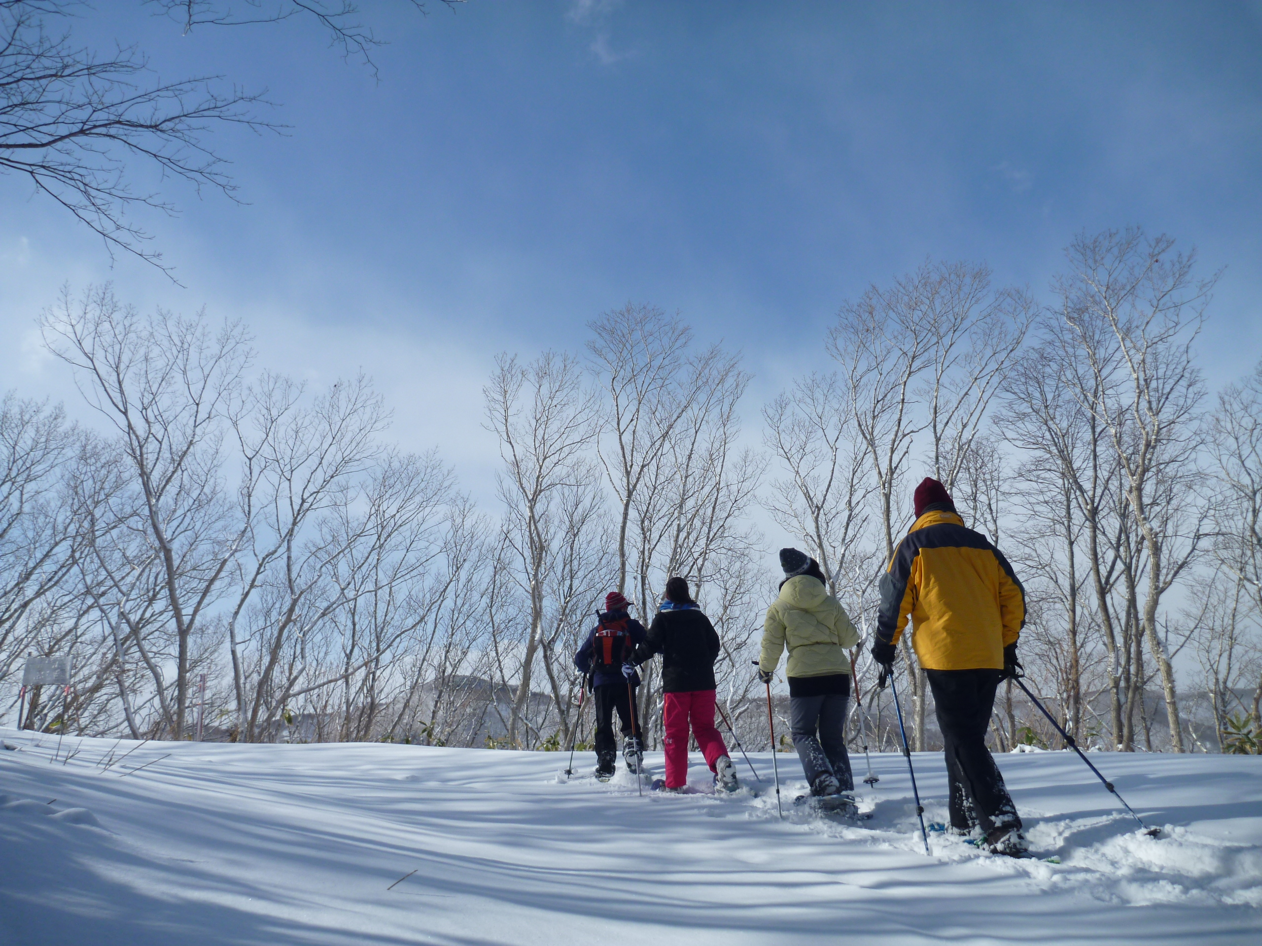 心がほどける雪山ハイキング