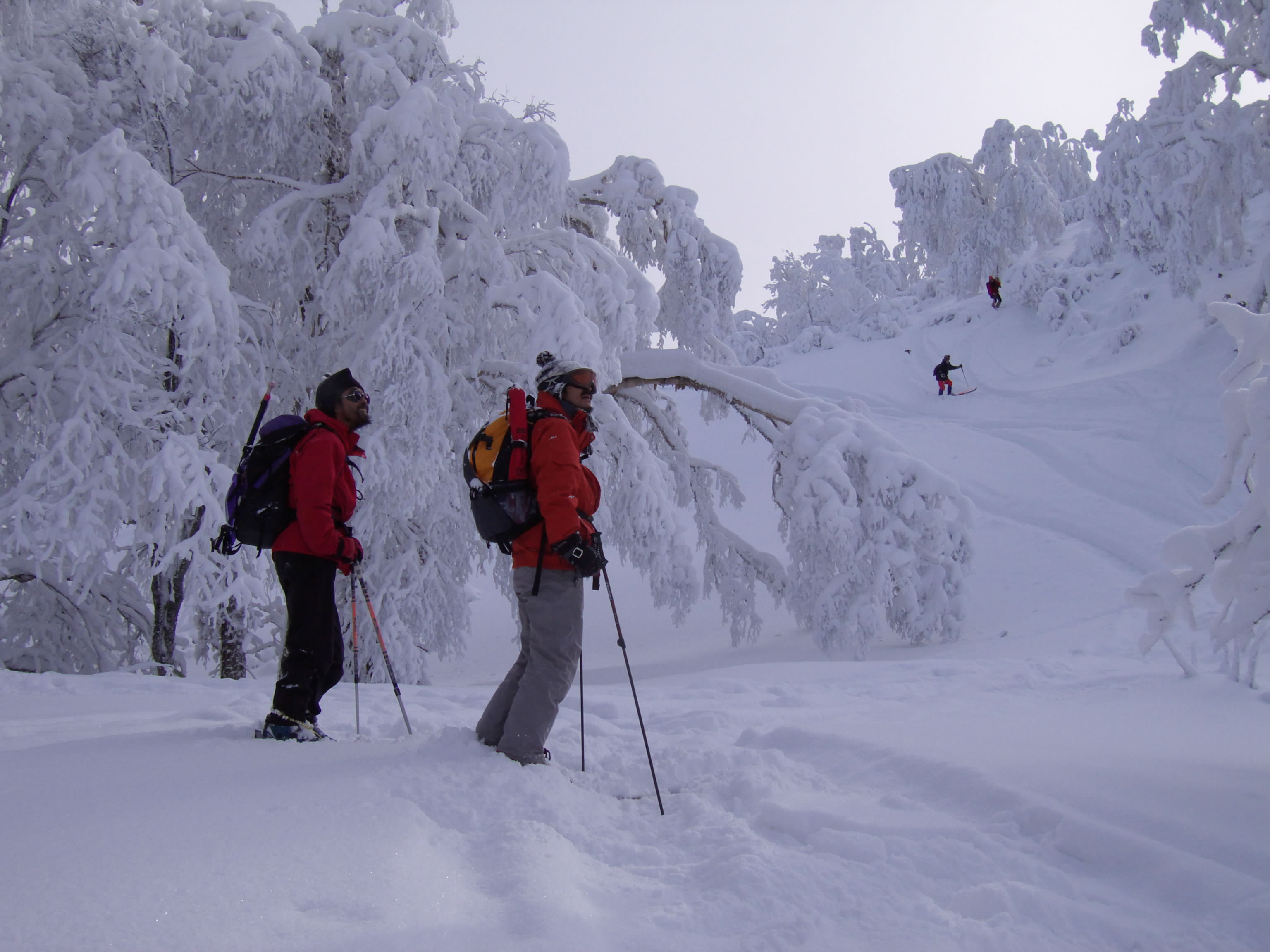 ふかふかのパウダースノー体験