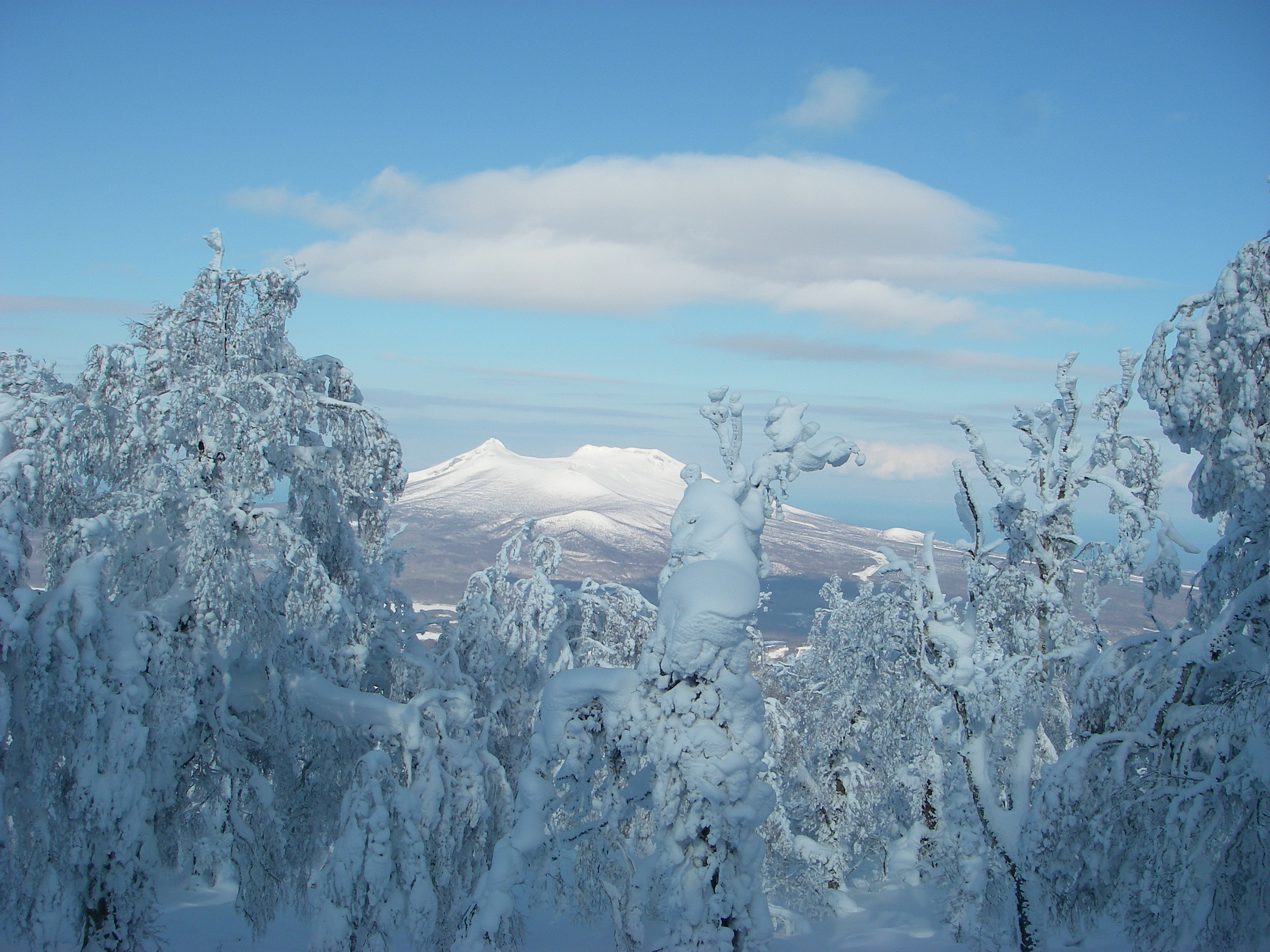 大自然を独り占めする贅沢
