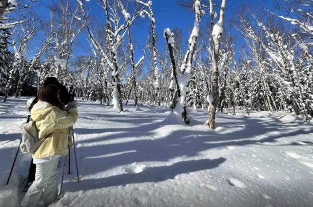 綺麗な白い絨毯