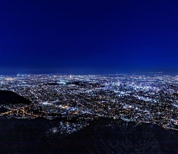 キラキラと宝石のように燦めく姿