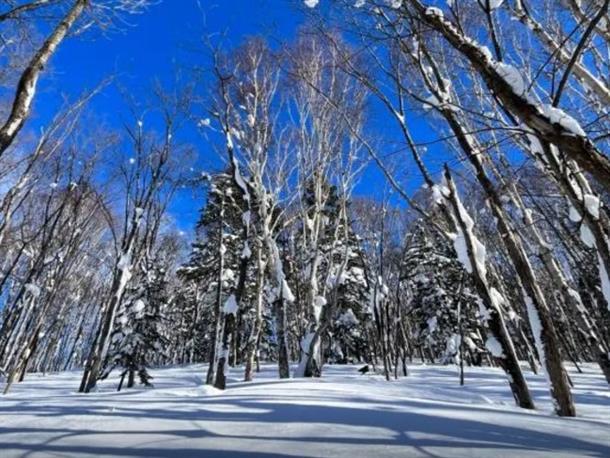 最高の冬景色が待ってます。