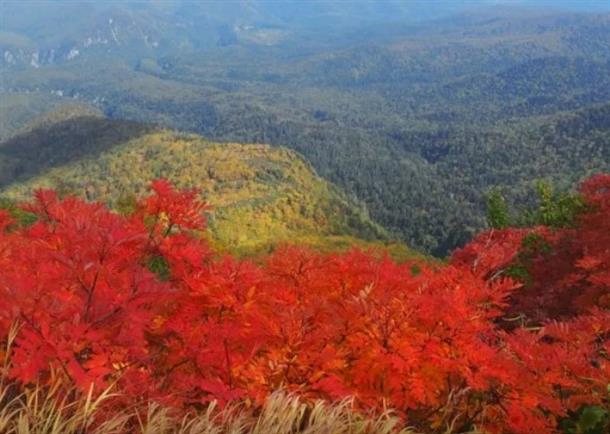 季節によって変わる美しい景色