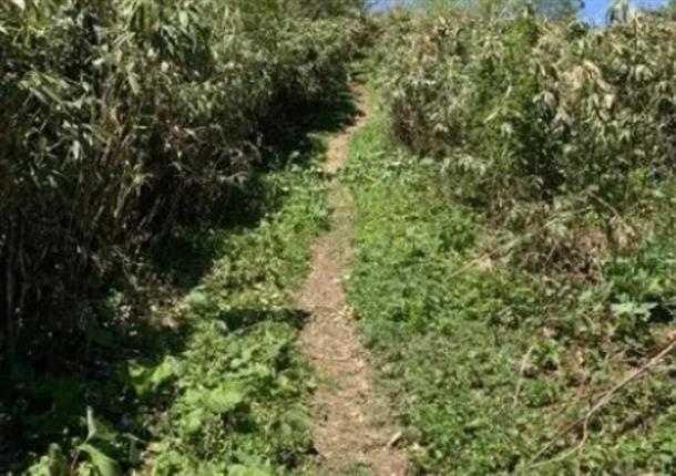 江戸時代より100年以上の歴史