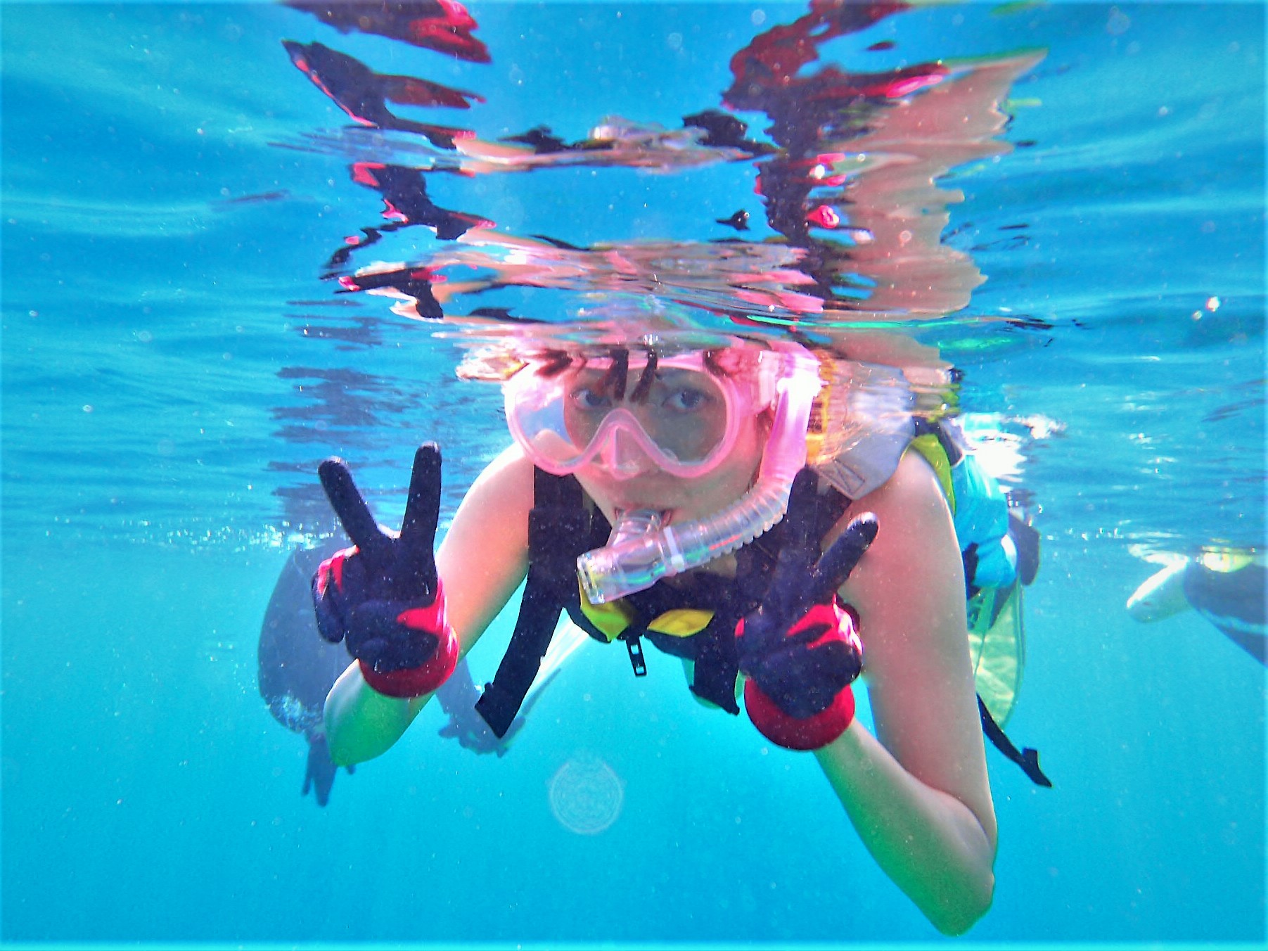 生物やお魚サンゴが豊富！