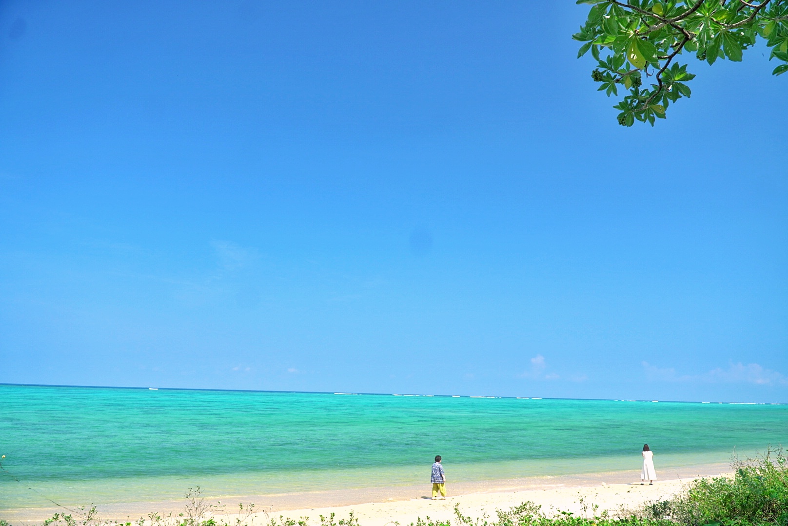 絶景ビーチを背景に
