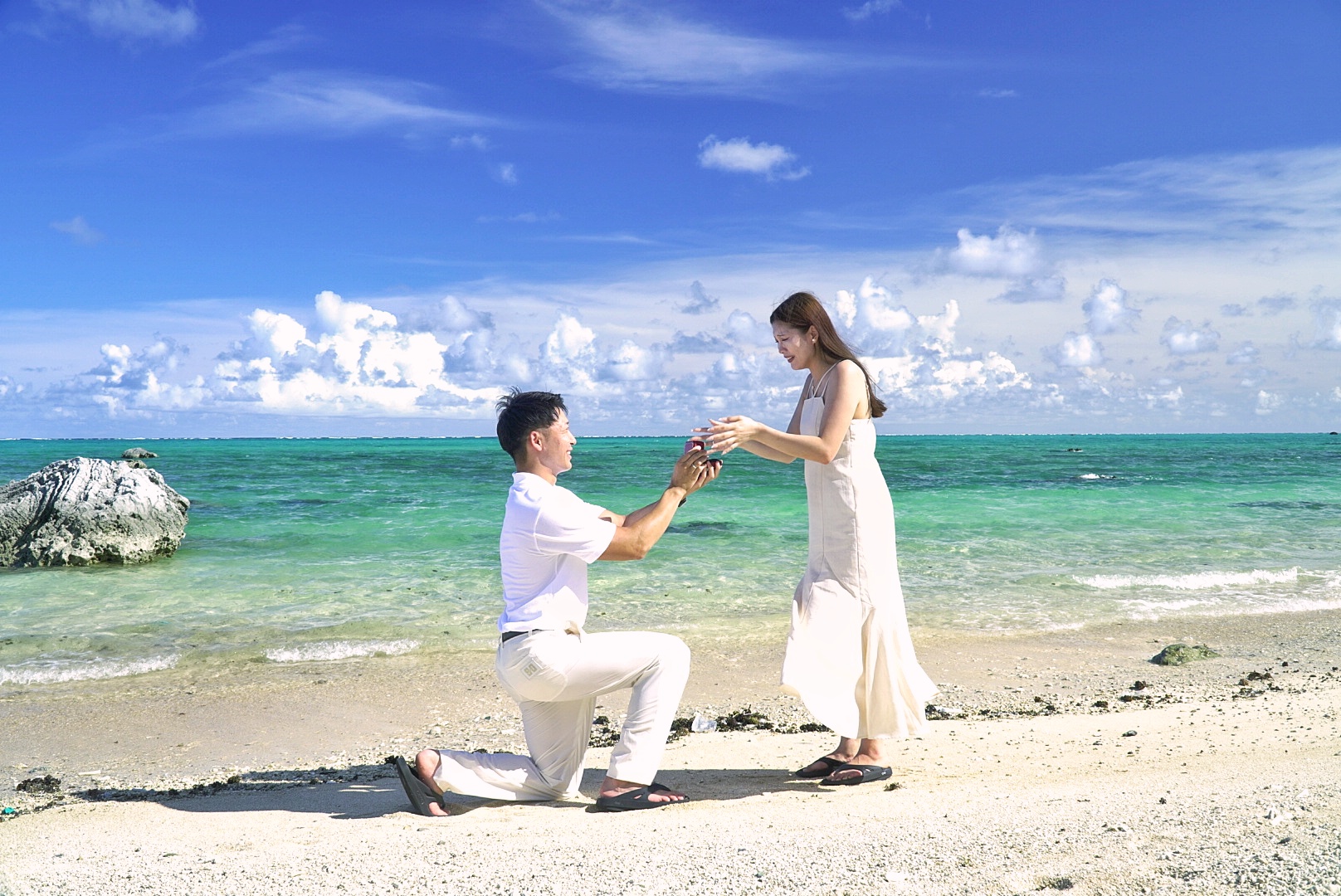 亜熱帯らしい森の中で