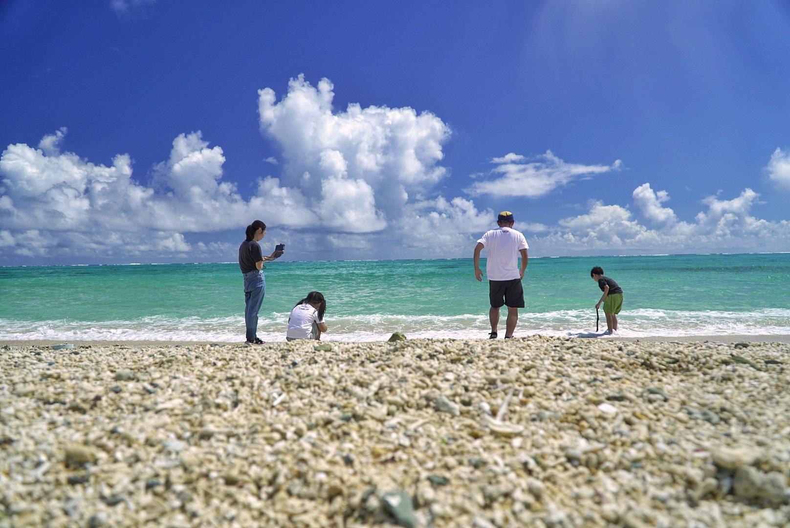 モデルのようなカットも