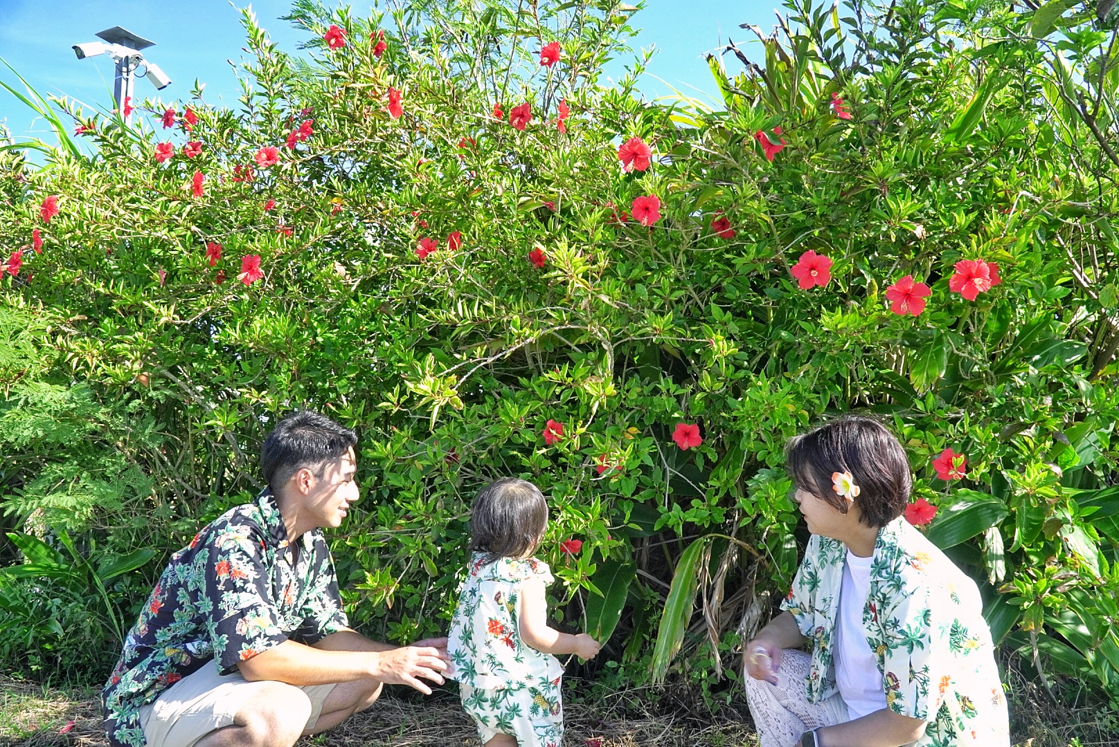 石垣島を知り尽くしたガイドがおもてなし！