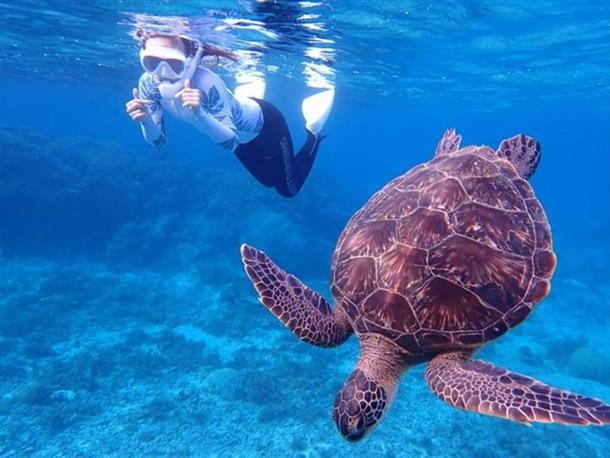 付かず離れず ♪