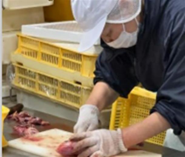 職人の技を見学