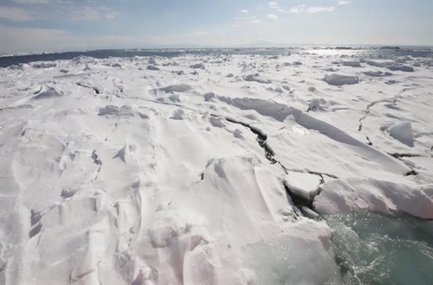 思わず降りて乗ってみたくなるほどの近さ！