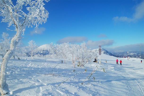 最高の雪質を色んなアクティビティで味わう