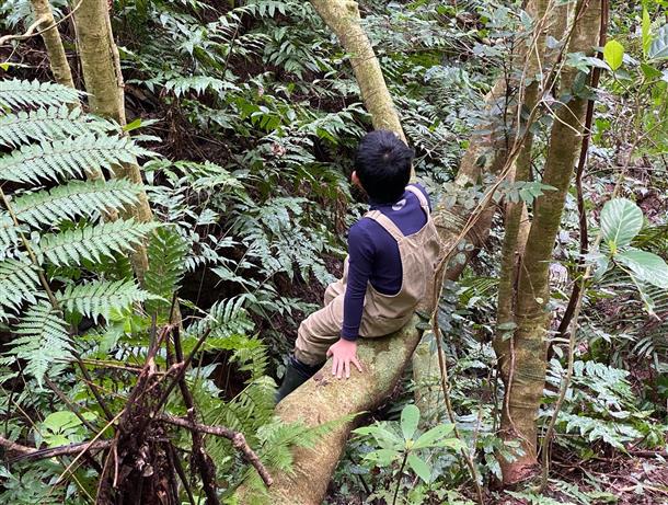 生き物や植物をのんびりと観察♪
