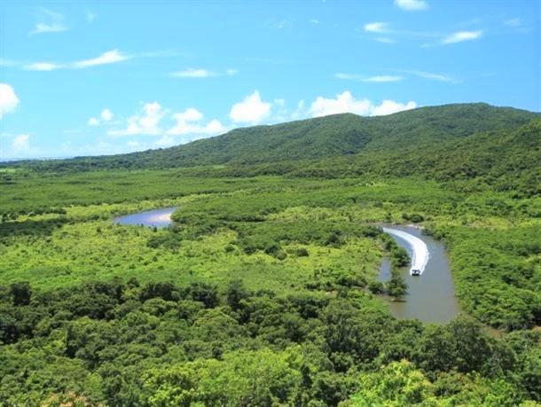 仲間川マングローブクルージング