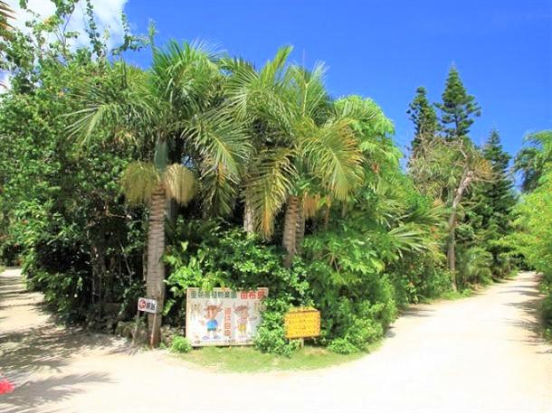 由布島植物園を散策♪