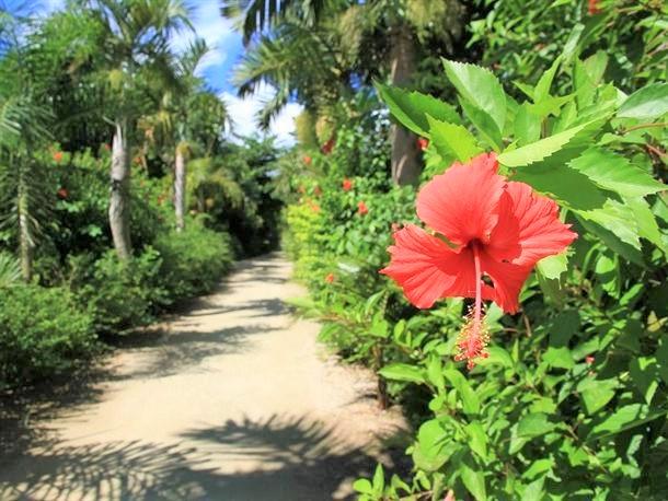 由布島植物園を散策♪
