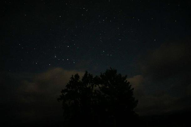 ナイトツアーでいつもと違う自然を観察