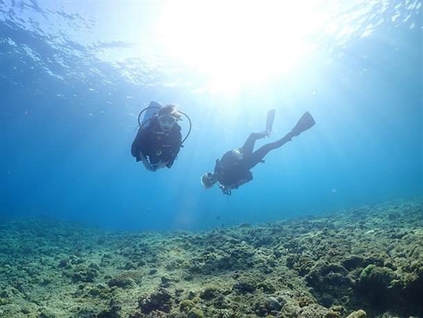 世界に誇る透明度抜群の慶良間