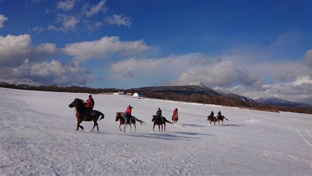雪原で乗馬トレッキング♪