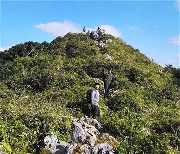 初心者でもチャレンジしやすい山です