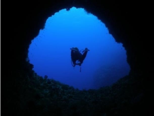 神秘的な海の世界