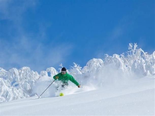 ニセコのパウダースノーを満喫