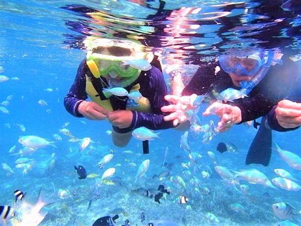 カラフルな熱帯魚達と遭遇♪