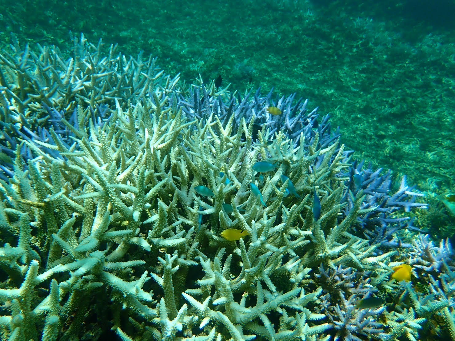 小さいなお子様～大人まで楽しめる♪