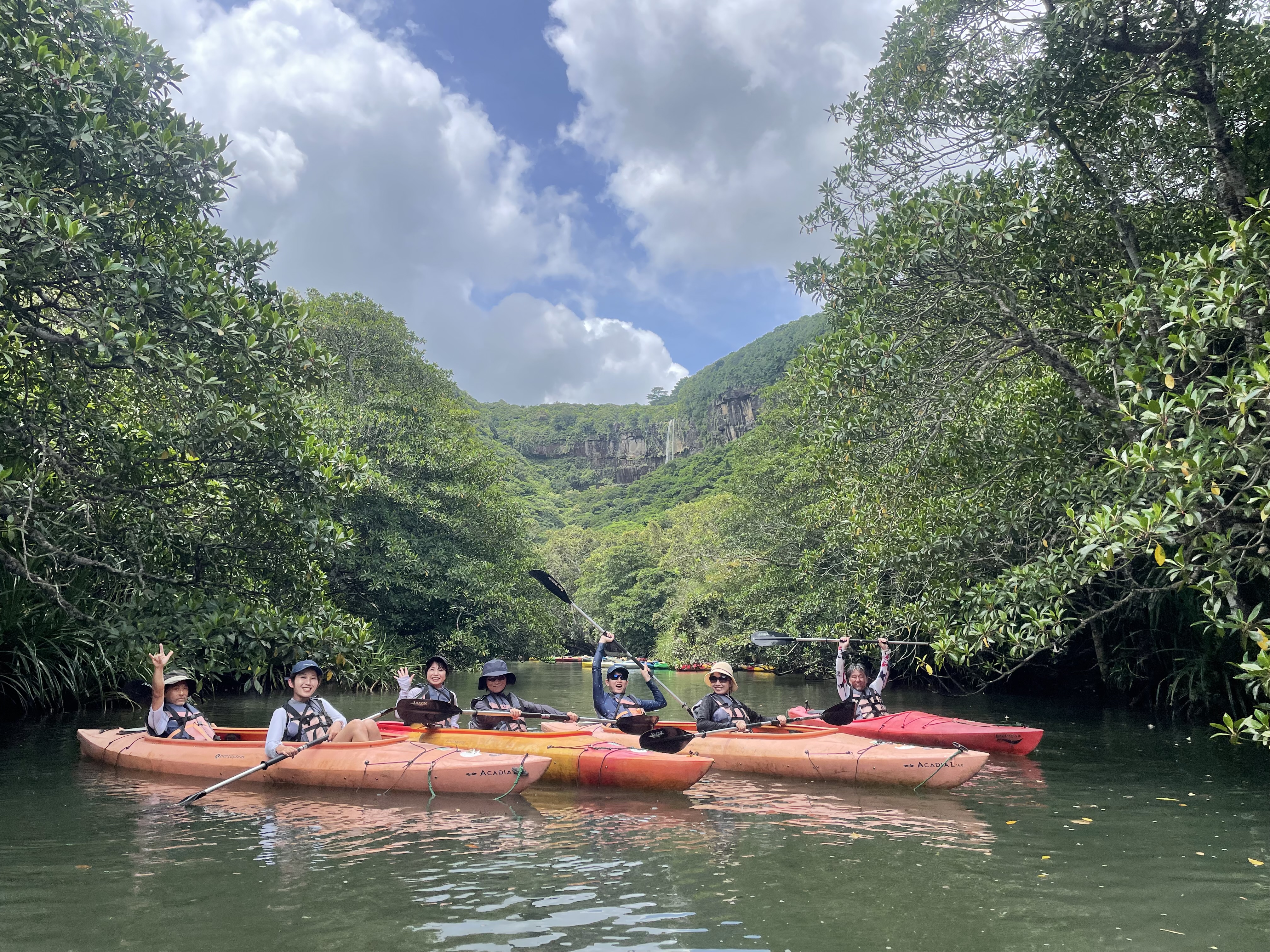 ヒナイ川マングローブ