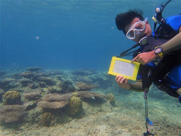 貴重なサンゴの植樹ポイントも観察