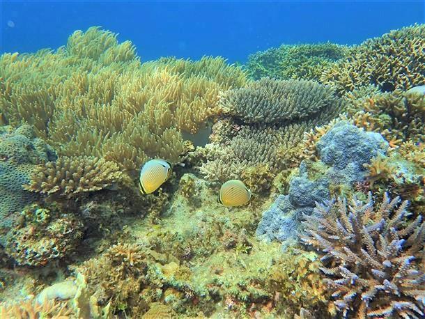 たっぷり45分の水中体験時間