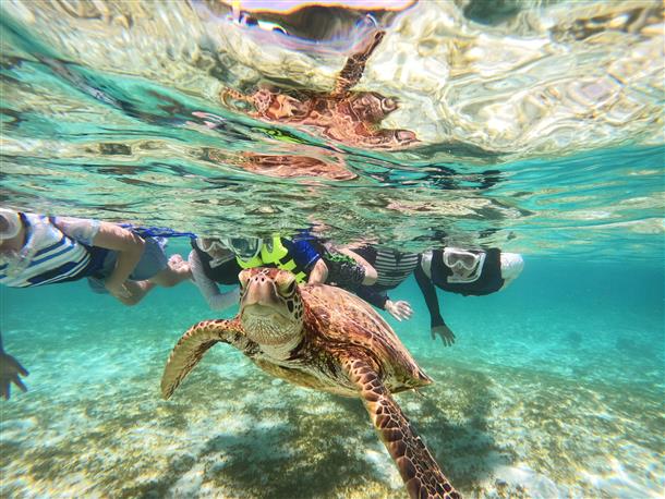 追加オプションでGoProレンタルあり♪