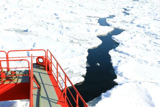 通った後だけ、水面が見える