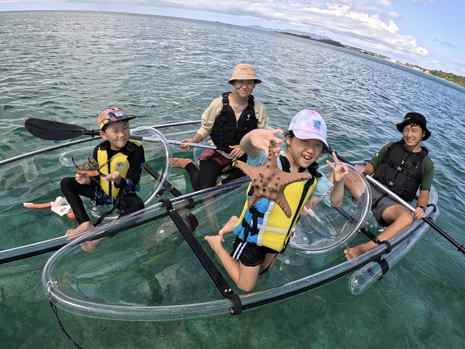 海の生き物に出会える！