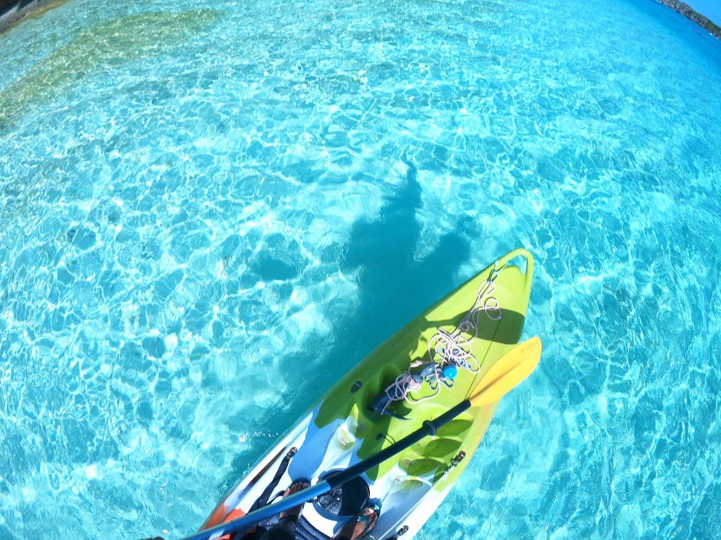 透明度抜群の無人島！！