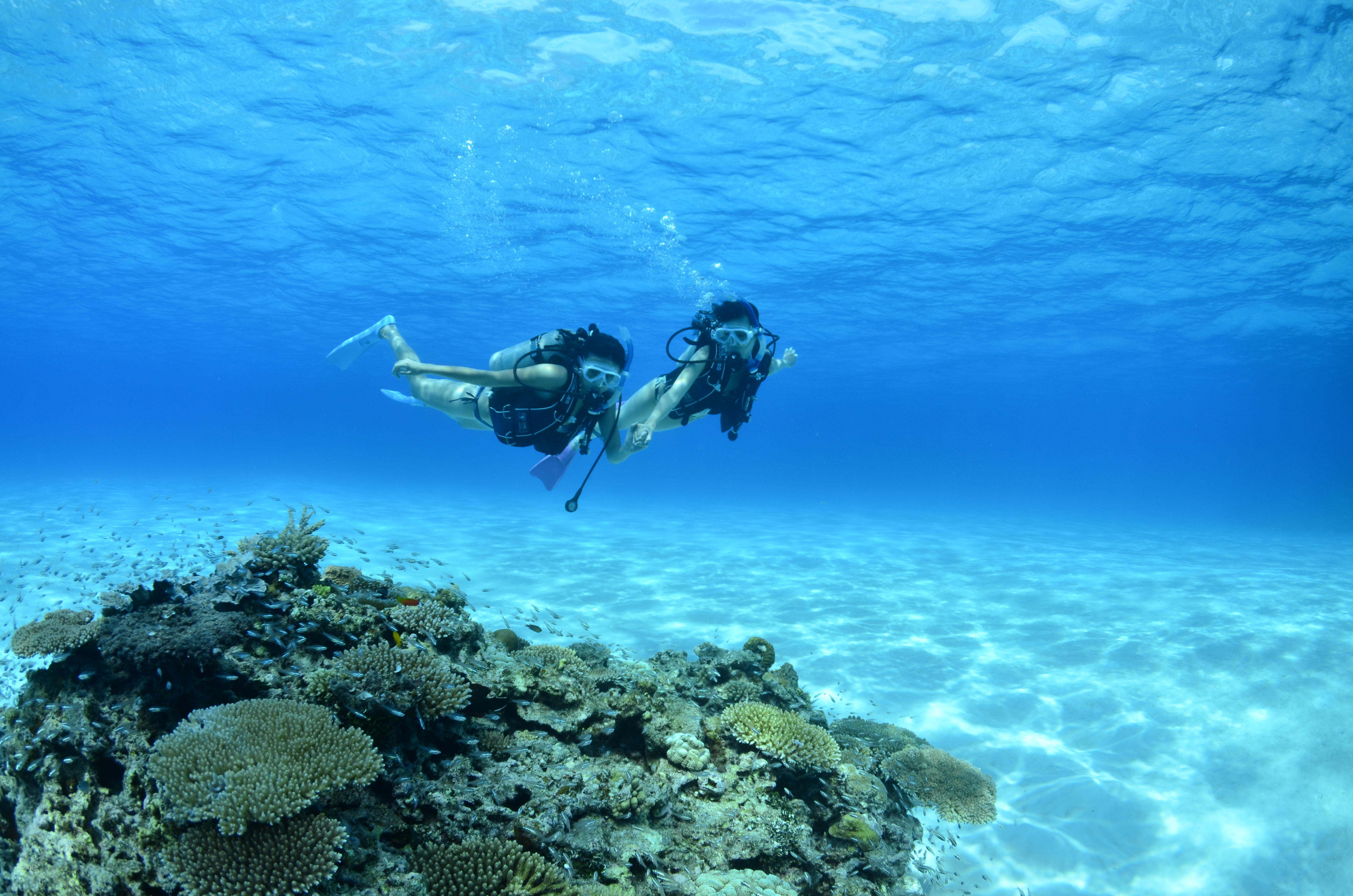 透明度バツグンの世界へ☆彡