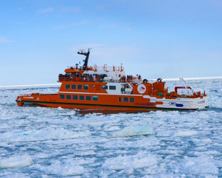 迫力満点のクルーズ！