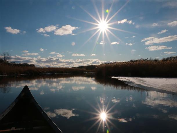 大自然の清々しい空気で胸いっぱい