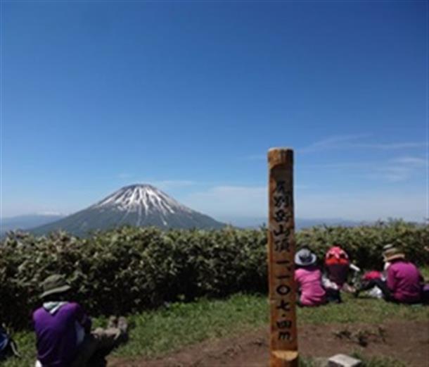 【尻別岳】一足早く春の花と景色を楽しめる