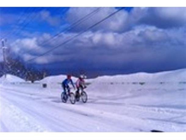 15年以上のキャリアを持つ現役レーサー