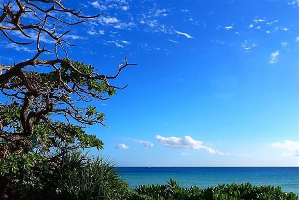 絵のような風景を写真に収めるのも楽しい♪