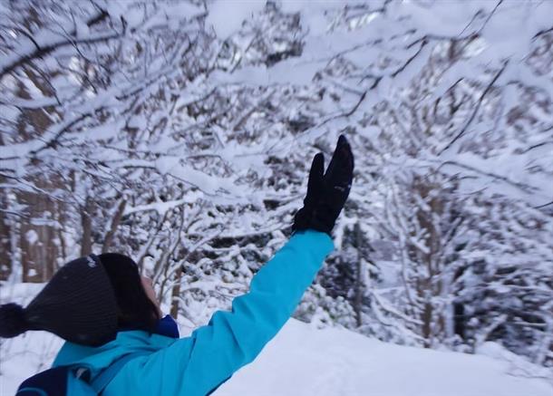 綺麗な雪化粧