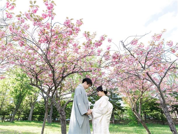 「華やかな和」と