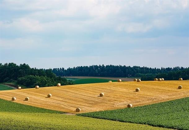 【パッチワークの路】