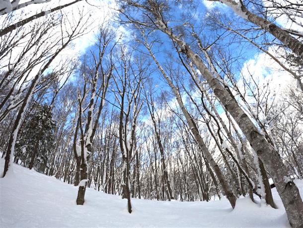 札幌市内とは思えない広大な自然